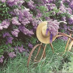 an old rusty bike with a straw hat on it's back in front of purple flowers