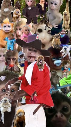 a collage of many different pictures with monkeys and people in the middle one is wearing a red coat