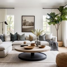 a living room filled with furniture and a large plant in the middle of the room