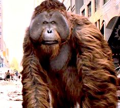 an orangutan standing in the middle of a city street with people walking by