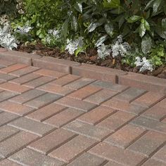 a red brick sidewalk with white flowers in the background