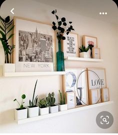 three white shelves with plants and pictures on the wall above them, along with other items