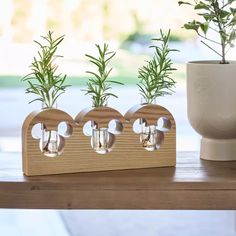 three planters with plants in them sitting on a table