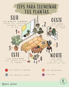 a poster with the words tips para tuminar, tus plantas and other things