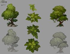 various types of trees and plants in different stages of development, including the top one with leaves on it