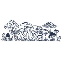 a line drawing of mushrooms in the grass