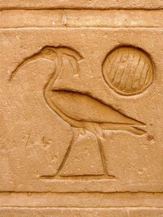 an egyptian stencil depicting a stork with a ball in its beak