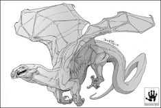 a drawing of a dragon with wings and claws