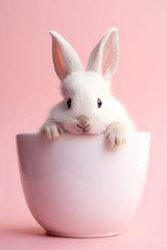 a white rabbit sitting in a pink bowl with its paws on it's head