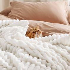 an orange cat laying on top of a bed covered in white blankets and brown pillows