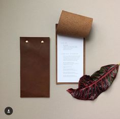 a brown paper bag next to a red and green leaf