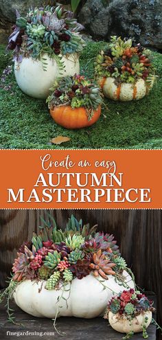 two pumpkins with succulent plants in them and the words create an easy autumn masterpiece