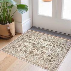 a beige and brown rug sitting on top of a wooden floor next to a potted plant