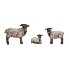 three sheep standing next to each other on a white background