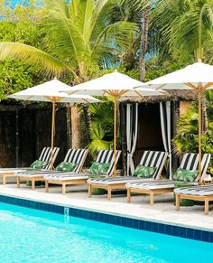 lounge chairs and umbrellas are lined up by the pool in front of palm trees