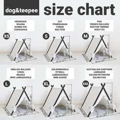 the steps are labeled in different ways to make it easier for dogs to climb up and down