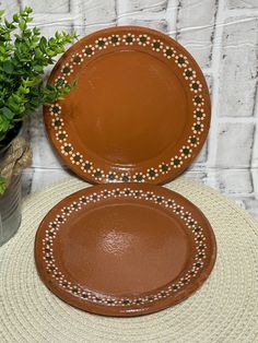 two brown plates sitting next to a potted plant