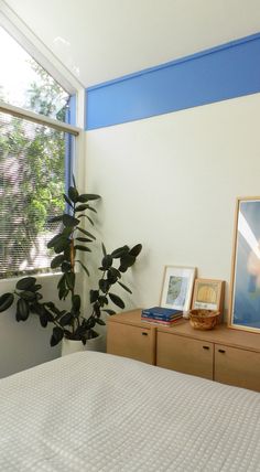 a bedroom with a bed, two pictures and a potted plant