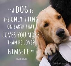 a dog is holding its owner's hand with a quote above it that reads, a dog is the only thing on earth that loves you more than he loves himself