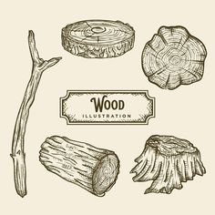 wood illustration with different types of logs