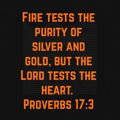 the words fire tests the purity of silver and gold, but the lord tests the heart proves 17 3