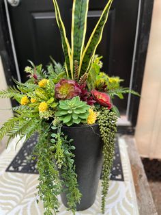 a potted plant sitting on top of a door mat next to a black door