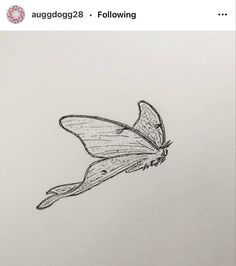 a drawing of a butterfly flying in the sky