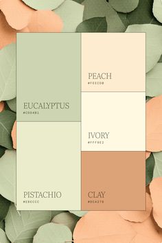 the color palette for peach, eucalyptus and ivory is shown on top of green leaves