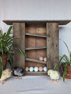 an old wooden box with eggs in it and two small chickens standing next to it