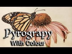 a butterfly sitting on top of a flower with the words pyrogray with color