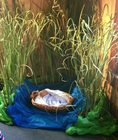 a basket sitting on top of a blue tarp next to some tall green grass