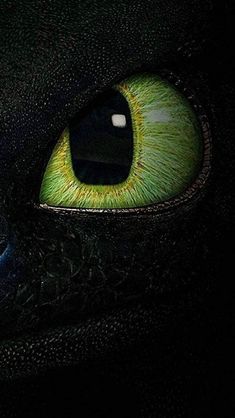 the eyes of a black cat with green and yellow markings on it's face