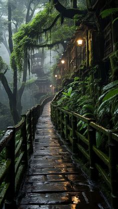 a wooden walkway in the middle of a lush green forest with lights shining on it