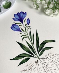 blue flowers and green leaves on white paper