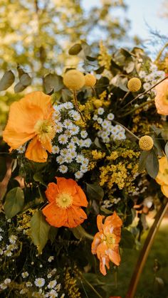 orange and white flowers are in the middle of a bush with green leaves on it