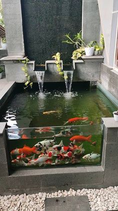 latest small pond decoration ideas House Fish Pond, Koi Fish Tank Indoor, Fishpond Ideas, Diy Koi Pond, Fish Pond Ideas, House Pond