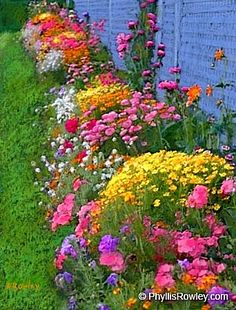 colorful flowers line the side of a building in front of a brick wall and grass