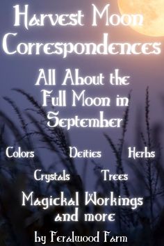 the full moon is in the sky above some tall grass and trees with words written below it