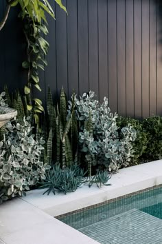 a pool surrounded by greenery next to a building