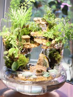 a glass bowl filled with plants and rocks