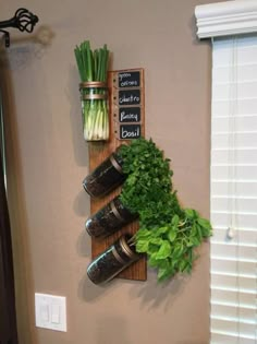 a wall mounted herb rack with herbs and spices