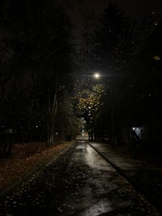 an empty road at night with the light on and leaves all over it's ground