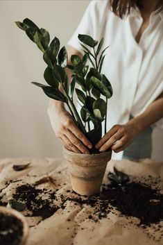 a woman holding a potted plant on top of a table