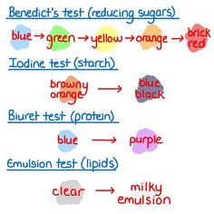 the words are written in different colors and sizes, including blue, green, yellow, orange