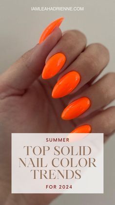 Solid Nail Colors For Summer, Solid Nail Colors, Fur Nails, Nail Color Combos, Manicure Nail Designs, September Nails, Acrylic Nail Set