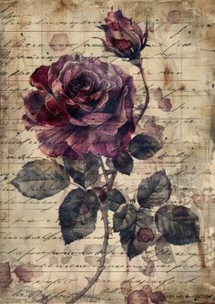 a painting of a rose on top of sheet music with words written in the background