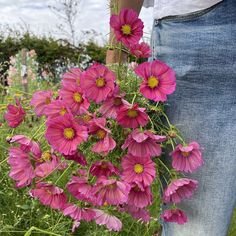 a person holding a bunch of pink flowers