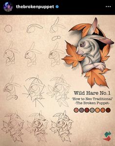 the book cover for wild hare no 1 how to new traditional british artist by robert robertson