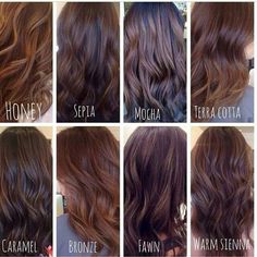 Chocolate Brown Global Hair Color, Type Of Brown Hair Shades, Different Types Of Brown Hair, Types Of Highlights For Hair, Types Of Hair Highlights, Brown Hair Names, Types Of Brown Hair, Shades Of Brown Hair Color, Types Of Brown