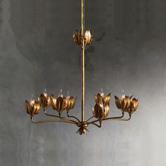 a gold chandelier hanging from a ceiling in a room with concrete walls and flooring